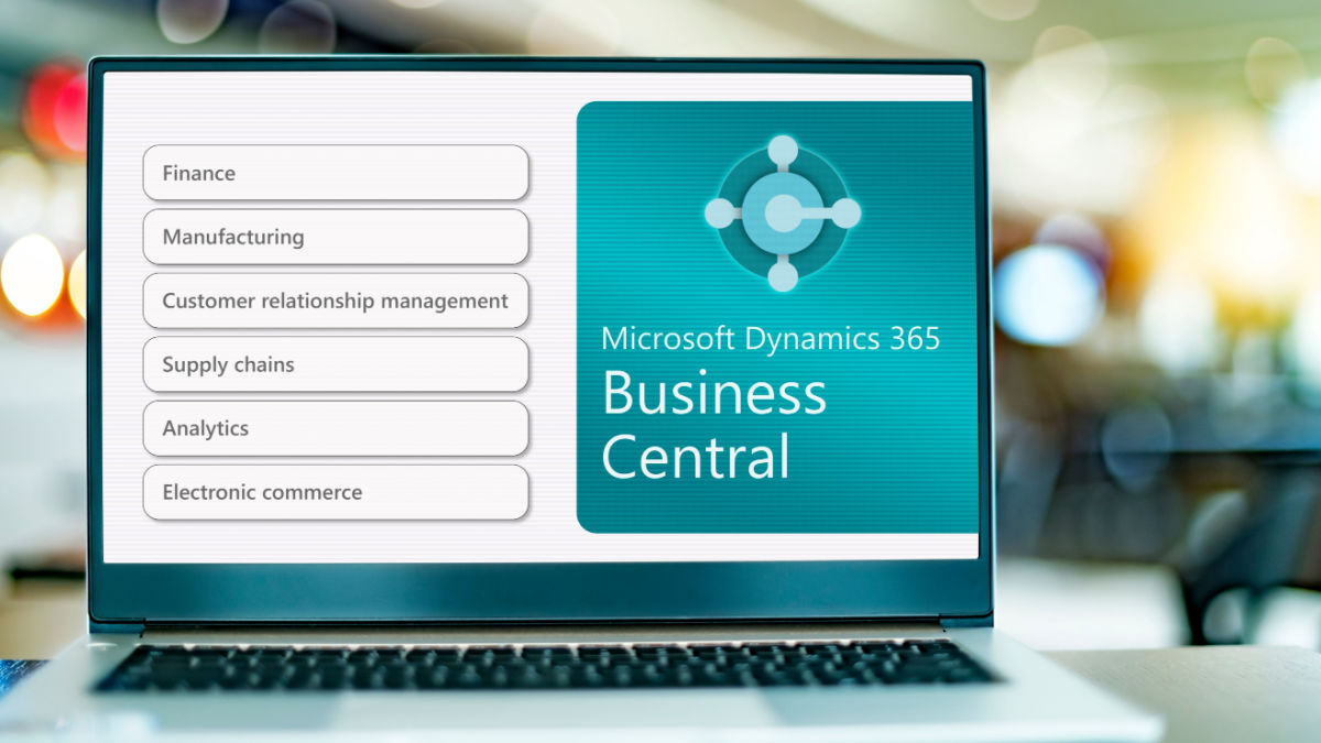 Business central non inventory