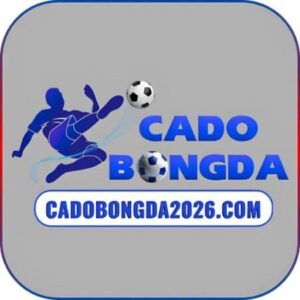 Profile photo of Web cá độ bóng đá
