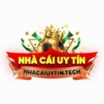 Profile photo of nhacaiuytin tech
