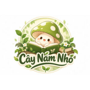 Profile photo of Cây Nấm Nhỏ