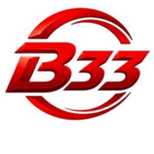 Profile photo of B33 B33